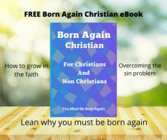 Born Again Christian Free eBook You Must Be Born Again By Minister Owen